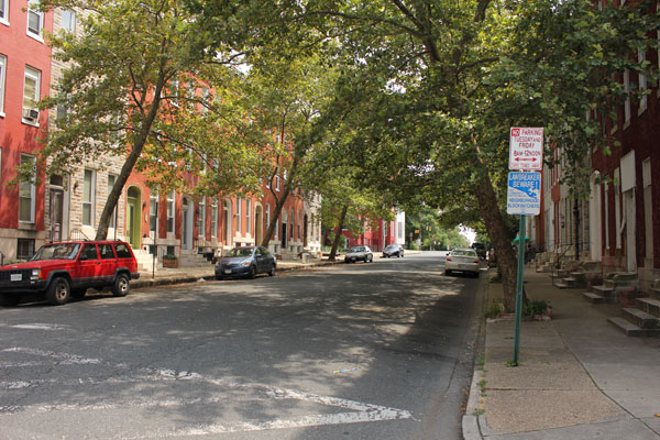 London plane trees line the sidewalks and lean out toward one another, forming a green archway over North Carrollton Avenue