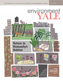Environment Yale Fall 2006 cover