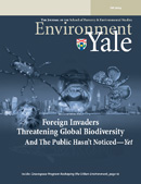 Environement Yale Fall 2004 cover image