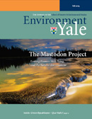 Environment Yale Fall 2003 cover image