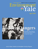 Environment Yale Spring 2002 cover image