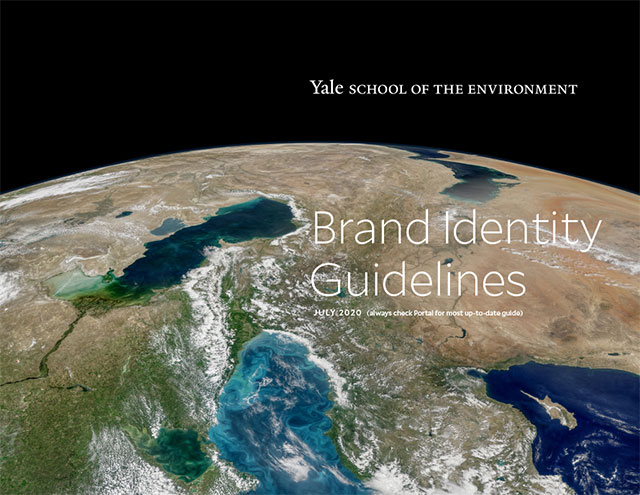 YSE brand guidlines cover
