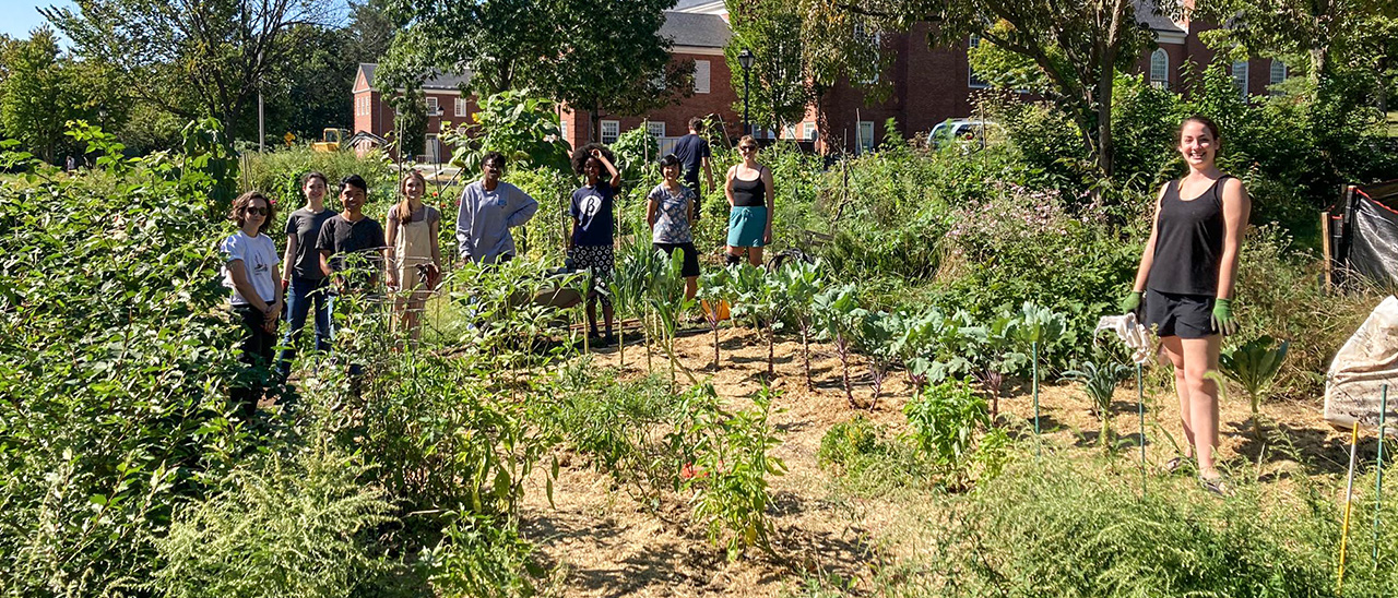 Students standing in a small field