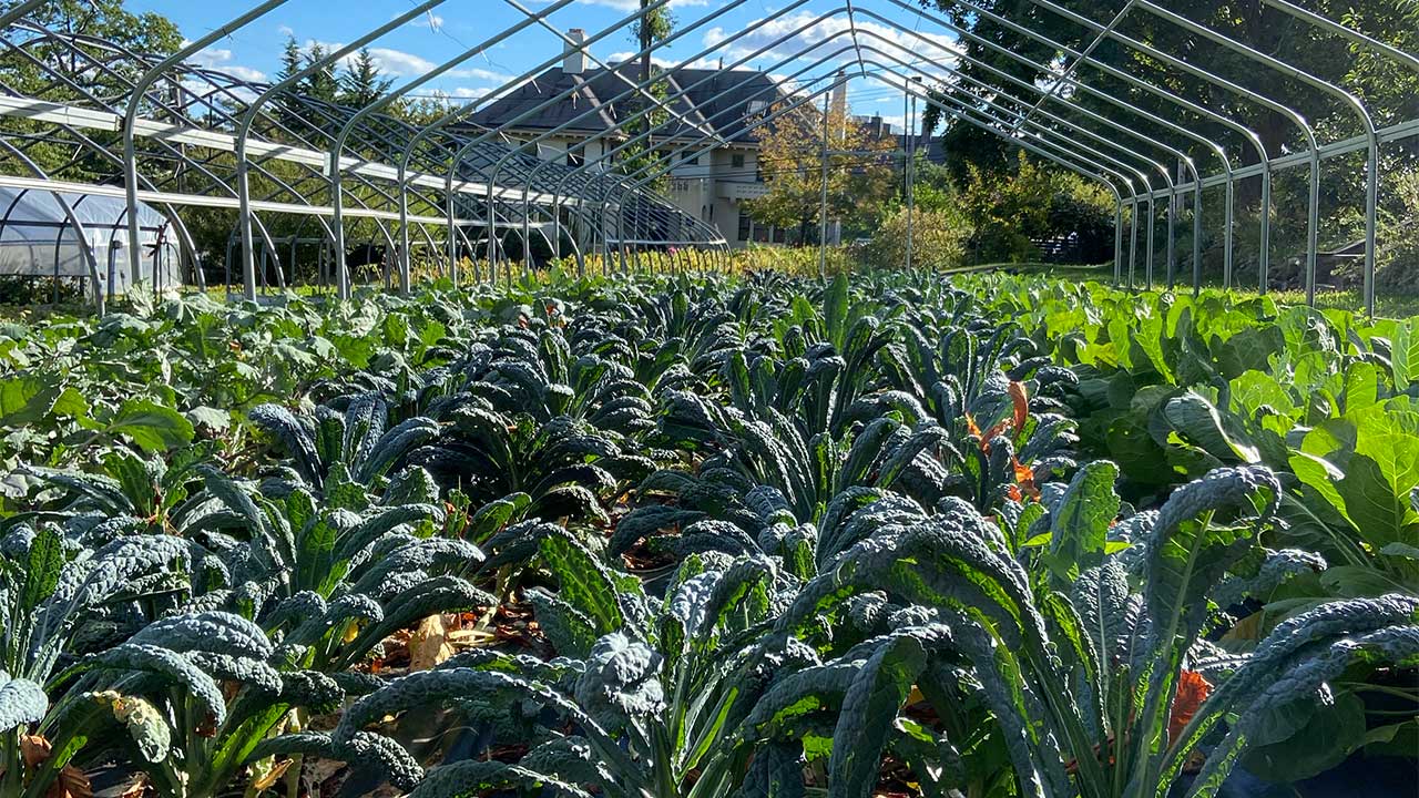 Food Systems Yale Farm Greenhouse 16x9